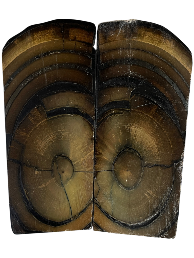 Mammoth Ivory Scales