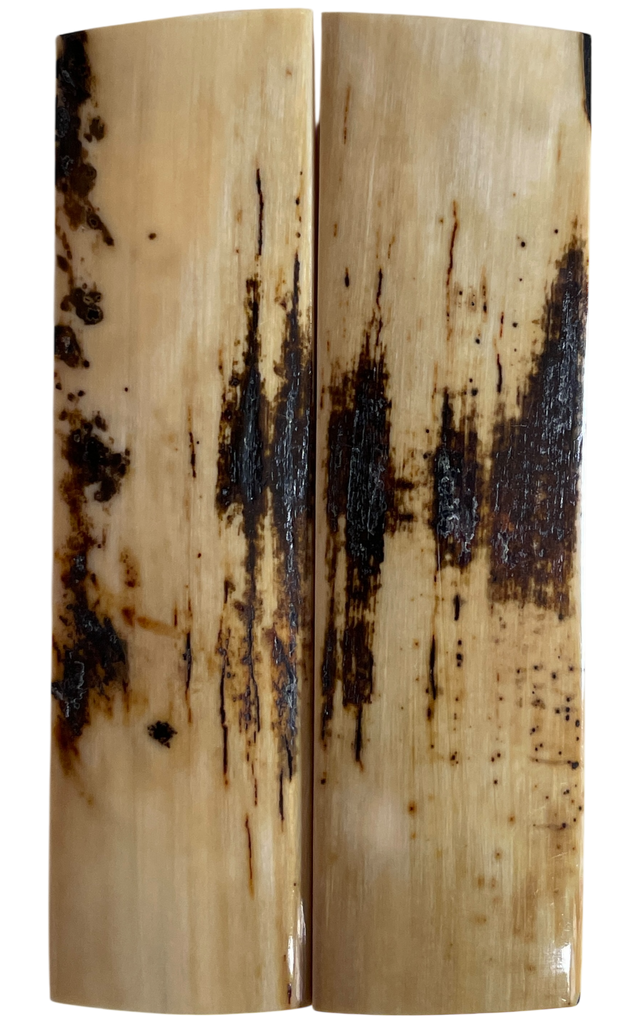 Mammoth Ivory Scales