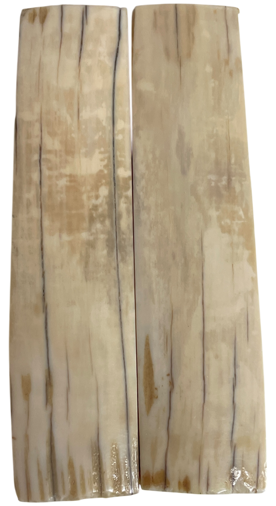 Mammoth Ivory Scales