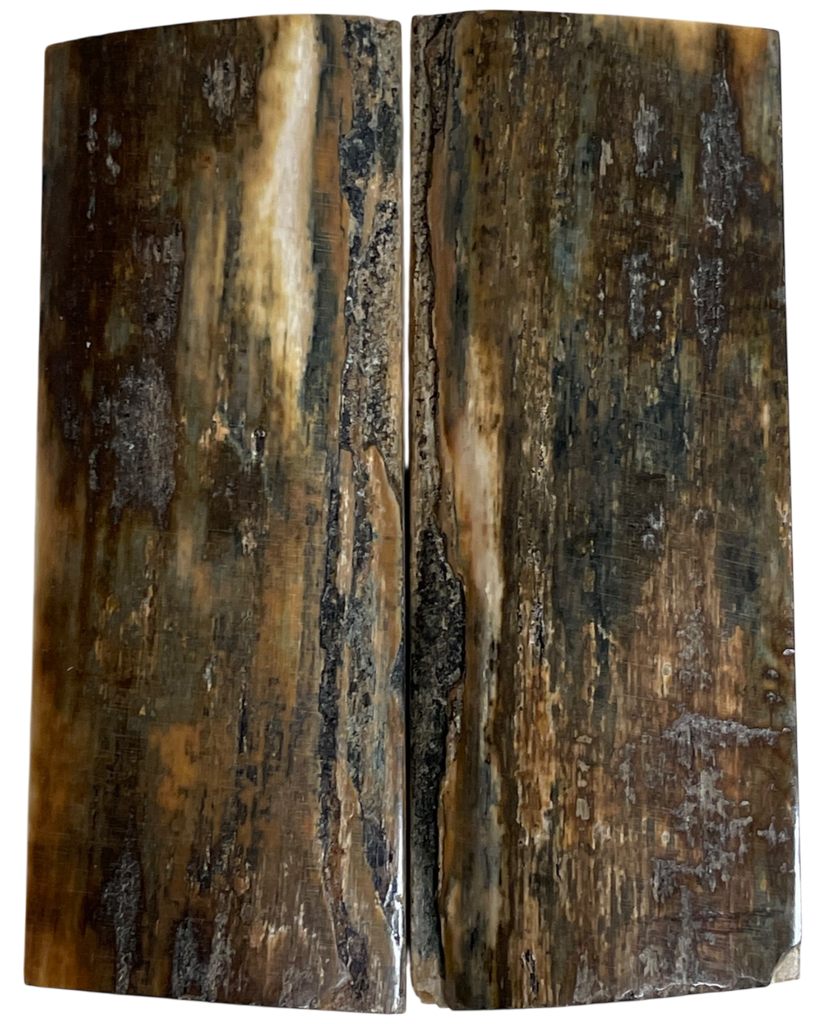 Mammoth Ivory Scales