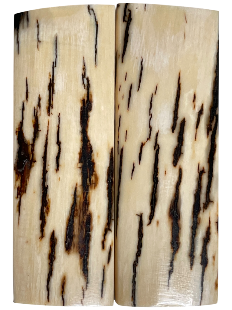 Mammoth Ivory Scales