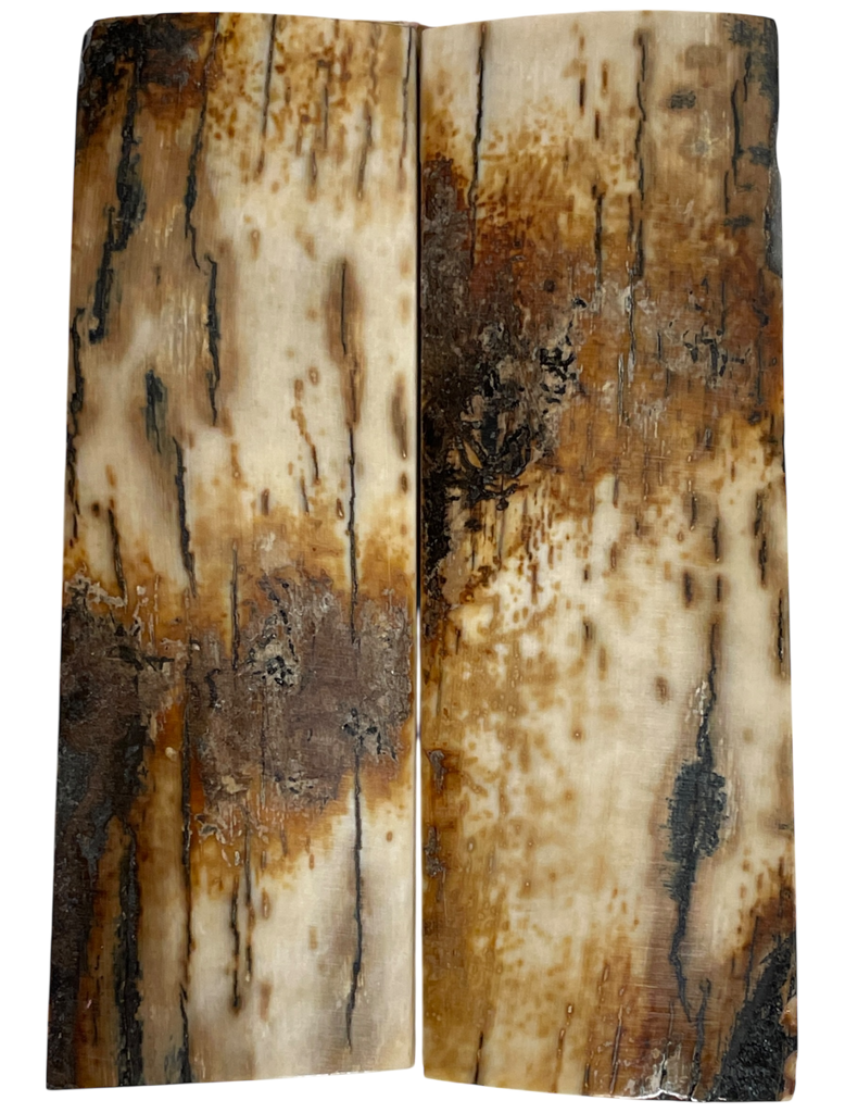 Mammoth Ivory Scales