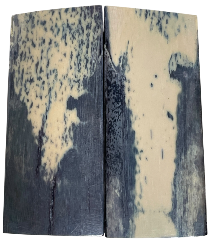 Mammoth Ivory Scales