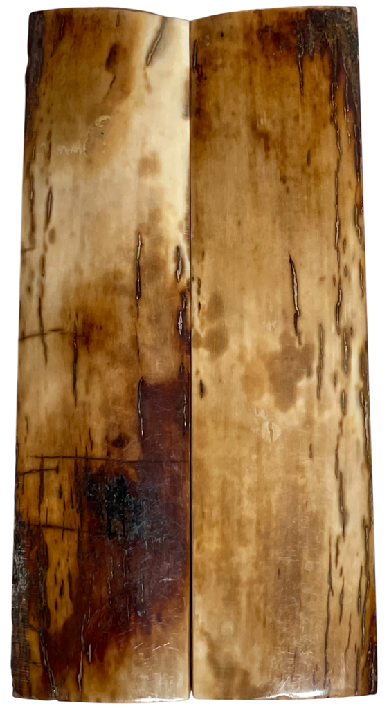 Mammoth Ivory Scales