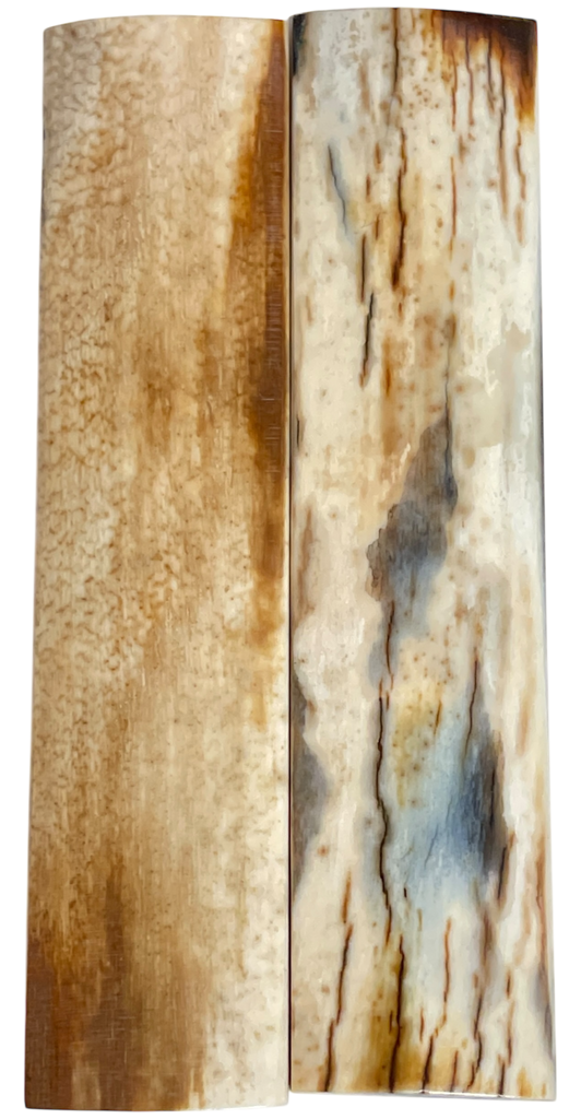 Mammoth Ivory Scales