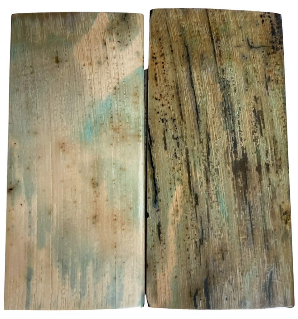 Mammoth Ivory Scales