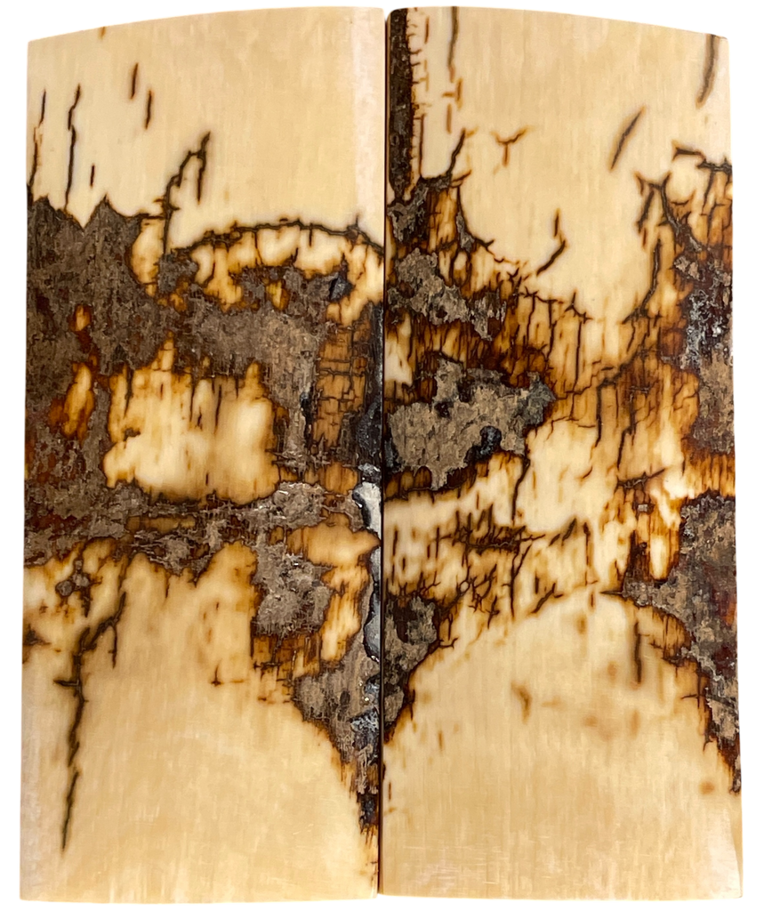 Mammoth Ivory Scales