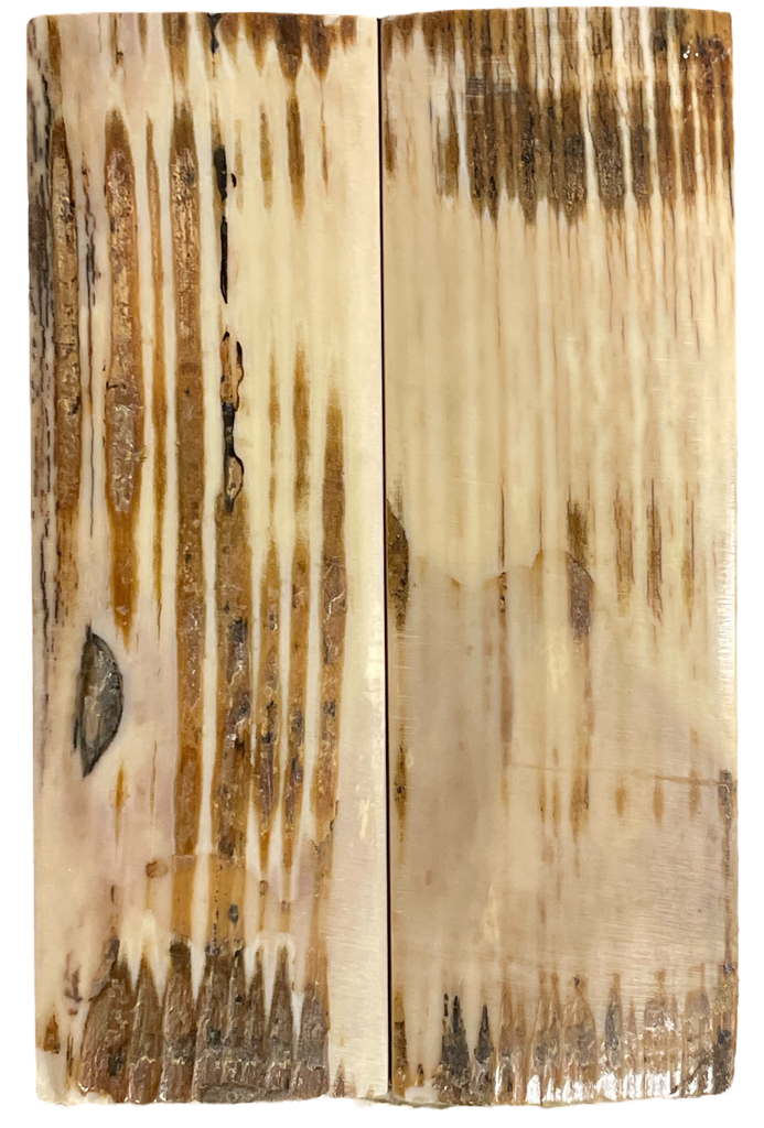 Mammoth Ivory Scales