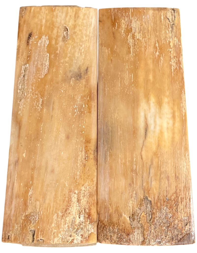 Mammoth Ivory Scales