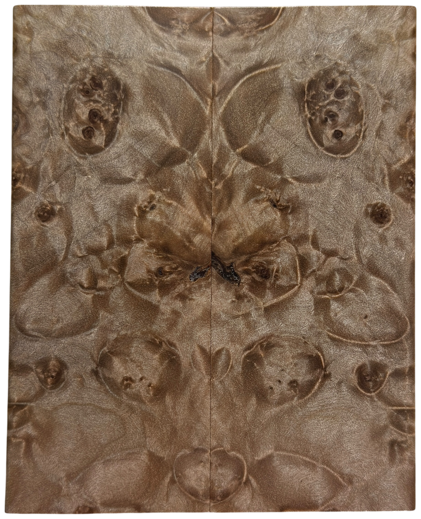 Maple Burl (1.75" x 4.375" x 3/8")