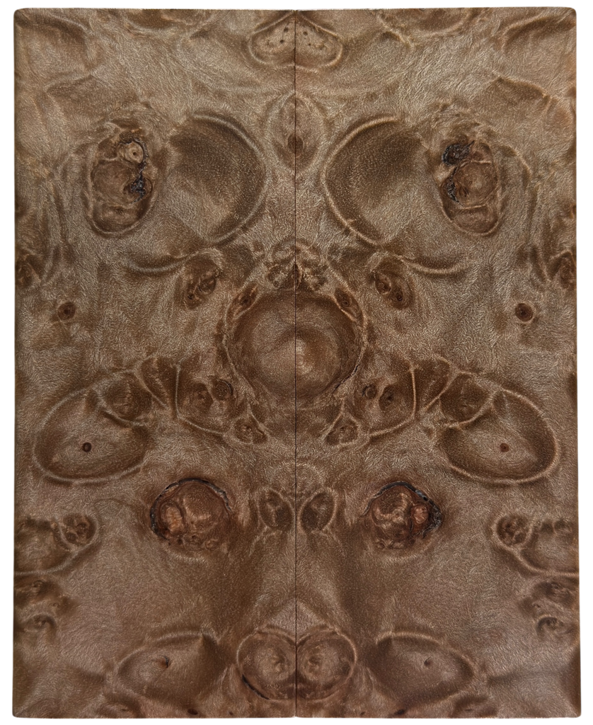 Maple Burl (1.75" x 4.375" x 3/8")