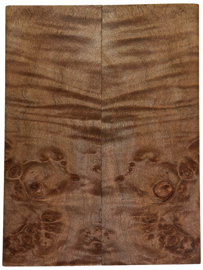 Maple Burl (1.75" x 4.75" x 3/8")