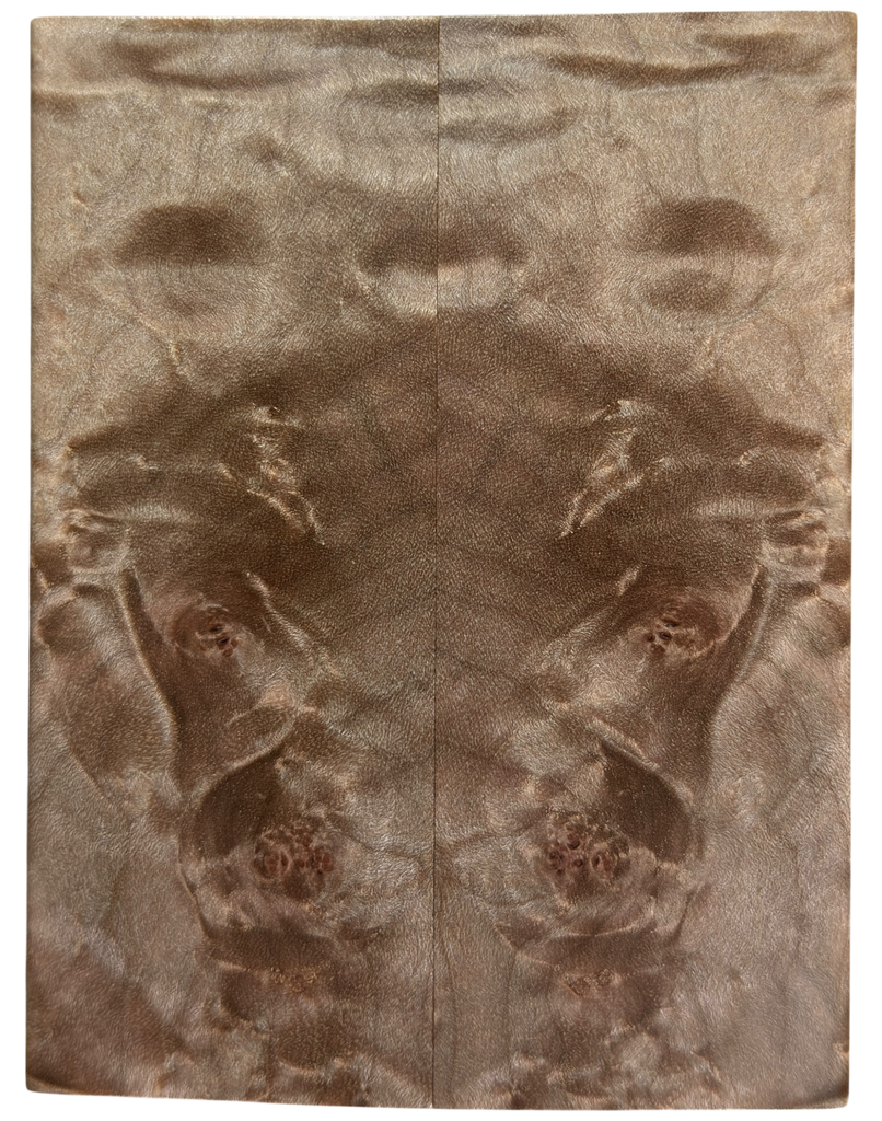 Maple Burl (1.875" x 5" x 3/8")