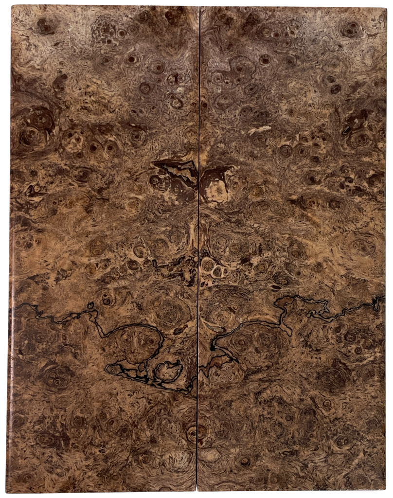 Maple Burl (1.75" x 4.75" x 1/4")