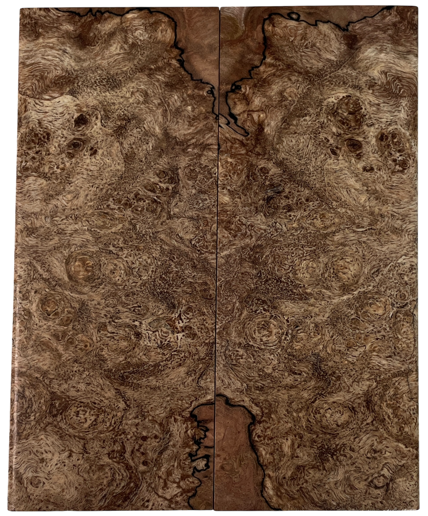 Maple Burl (1.875" x 4.625" x 1/4")
