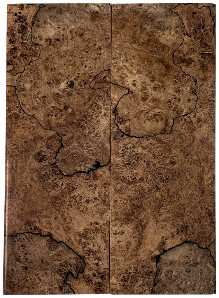 Maple Burl (1.75" x 4.75" x 1/4")