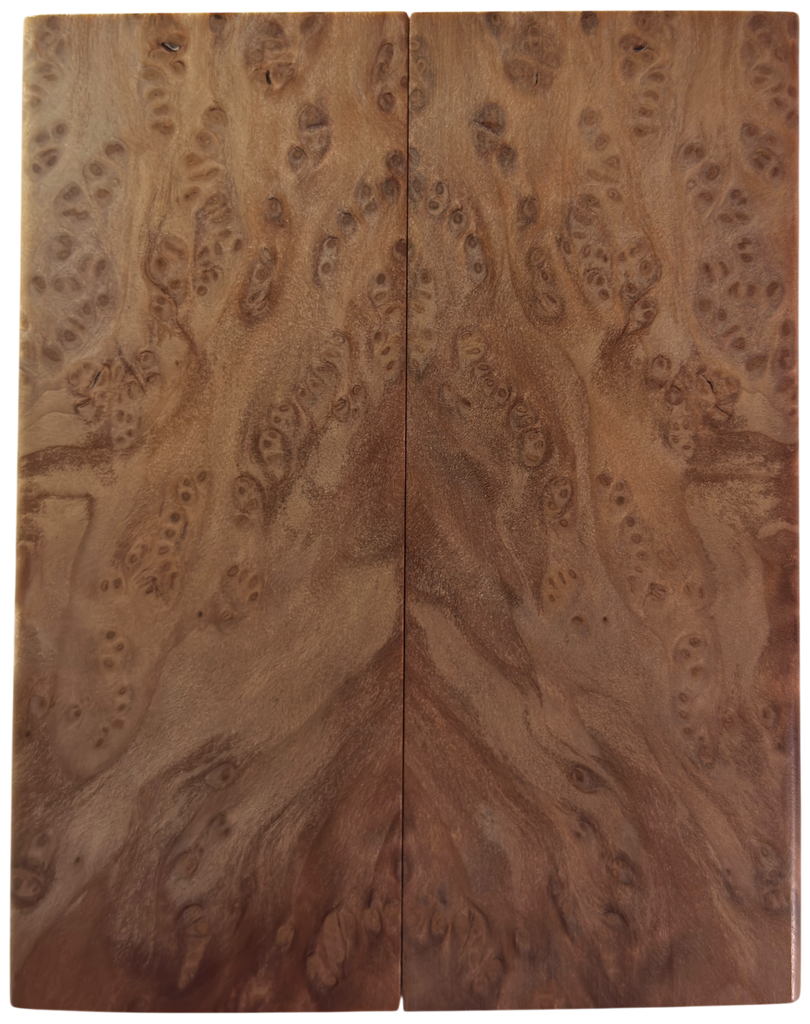 Redwood Burl (1.875" x 4.875" x 5/16")