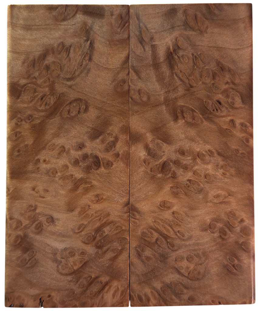 Redwood Burl (2" x 4.75" x 5/16")