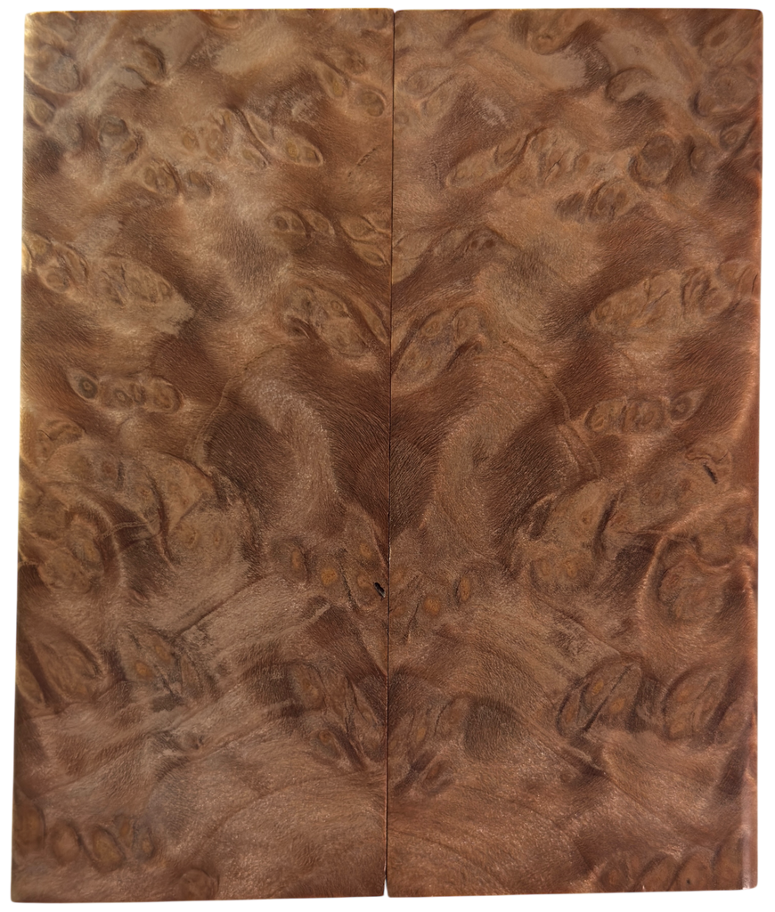 Redwood Burl (2" x 4.625" x 5/16")