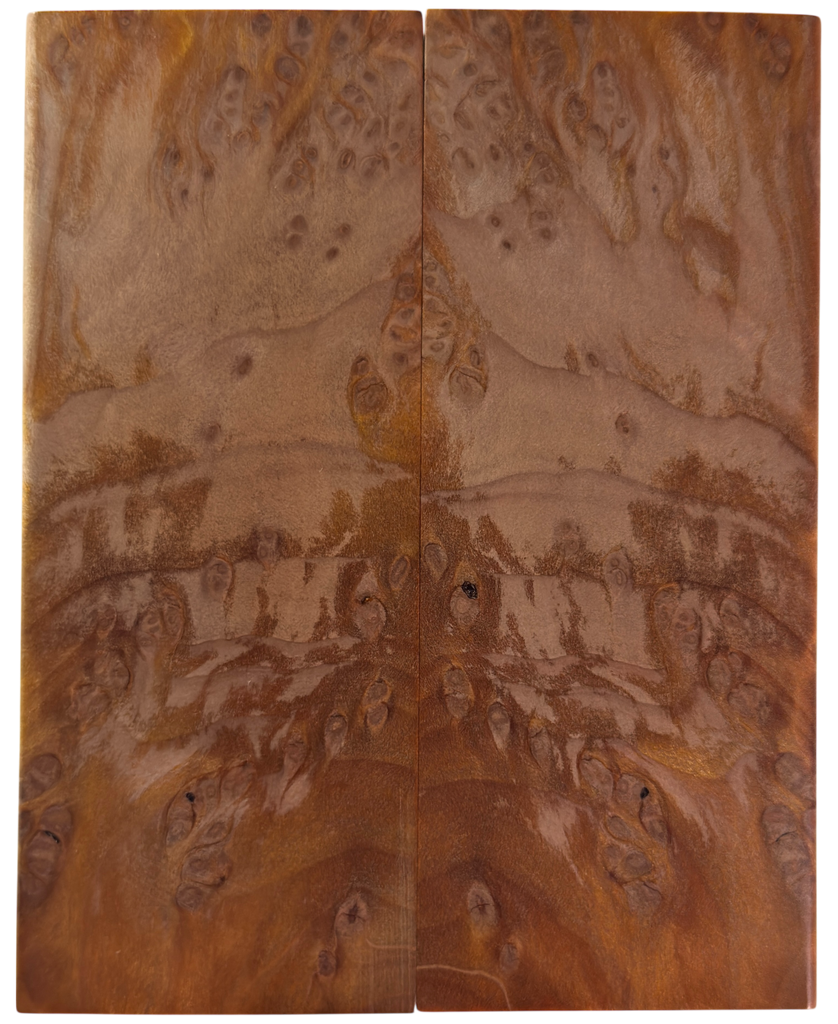Redwood Burl (2" x 4.875" x 5/16")