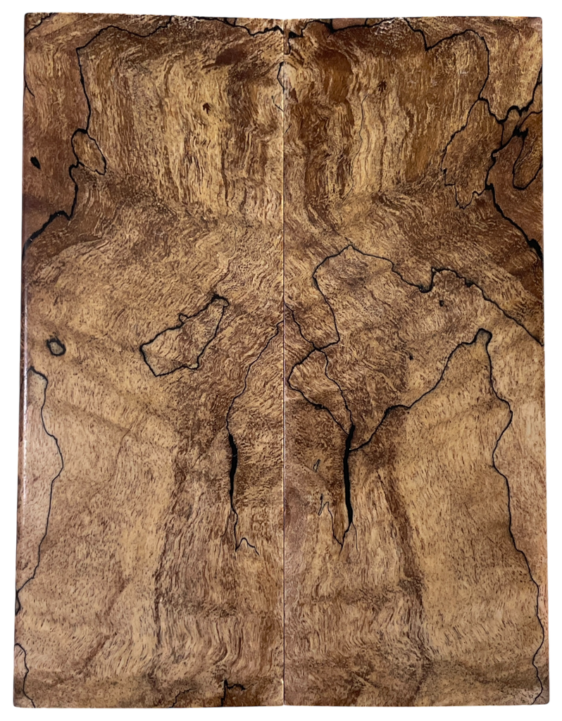 Spalted Maple (1.75" x 4.75" x 5/16")