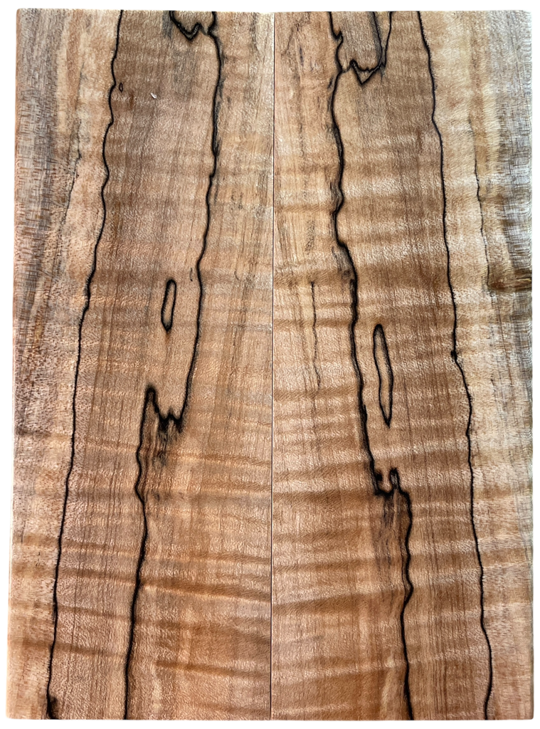 Spalted Maple (2.125" x 5.875" x 5/16")