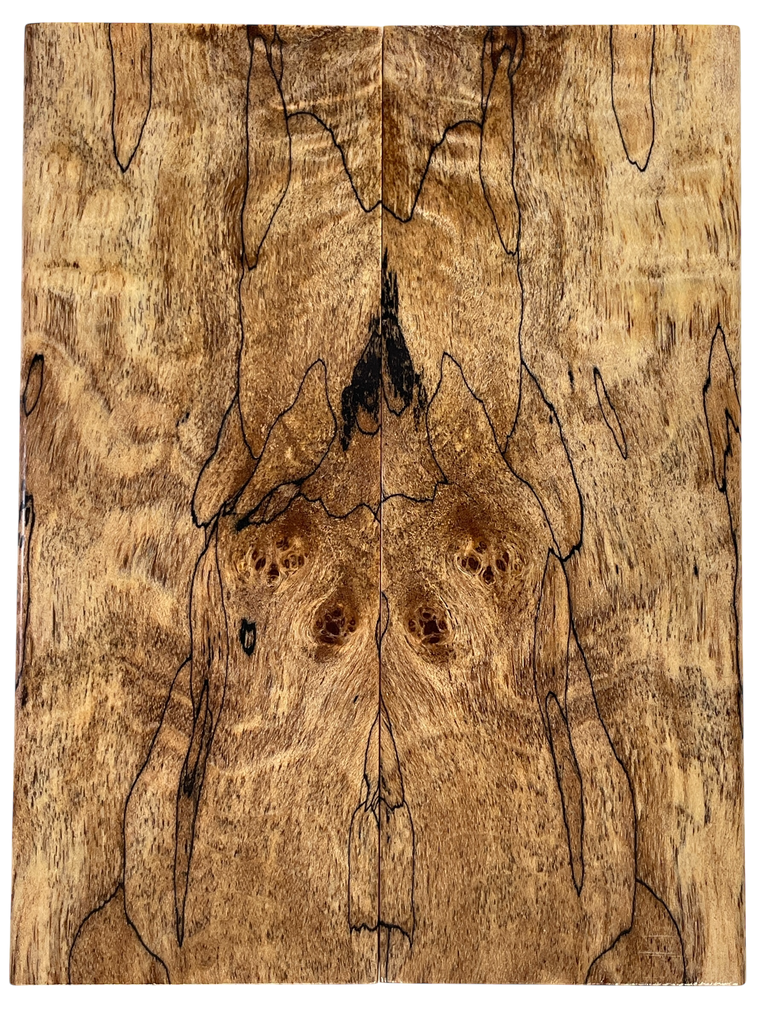 Spalted Maple (1.875" x 5" x 3/8")