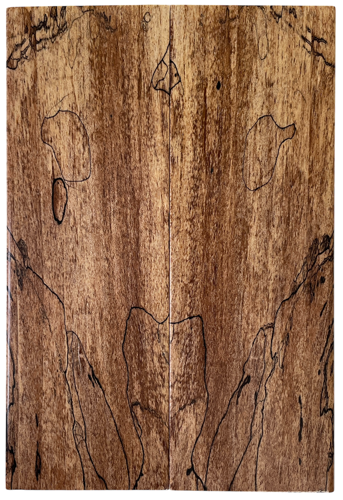 Spalted Maple (1.75" x 5.625" x 3/8")
