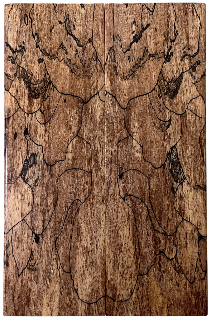 Spalted Maple (2" x 5.875" x 3/8")