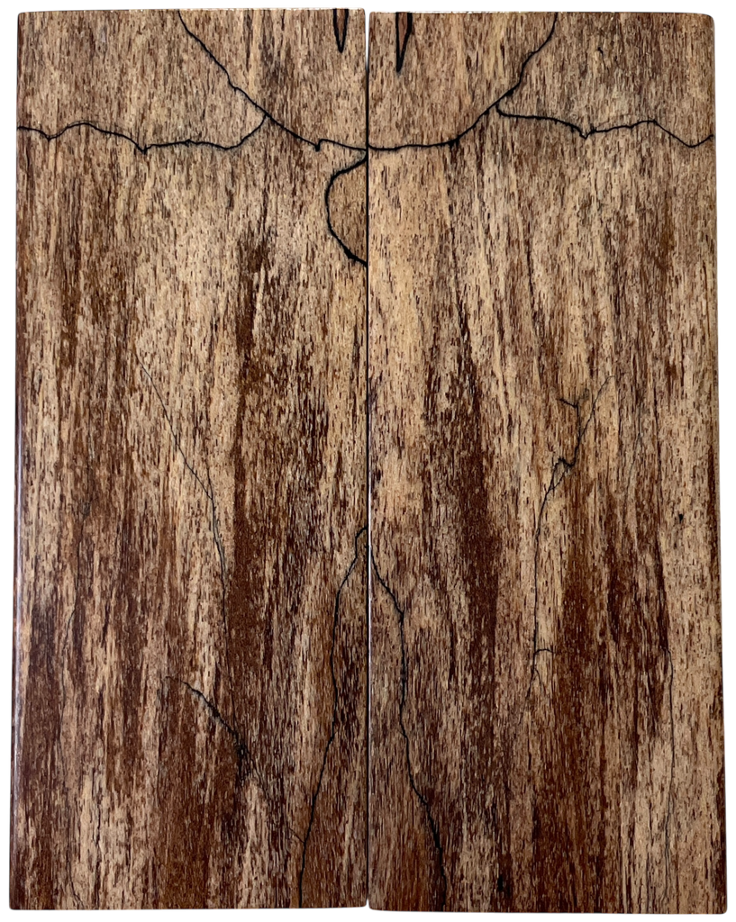 Spalted Maple (2" x 4.875" x 3/8")