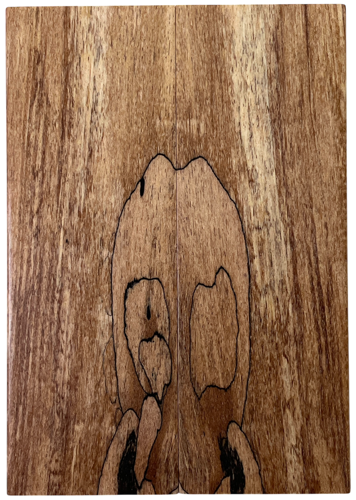 Spalted Maple (1.75" x 5" x 3/8")