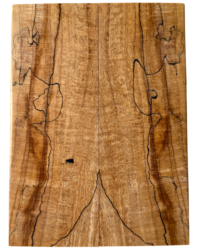 Spalted Maple (2.25