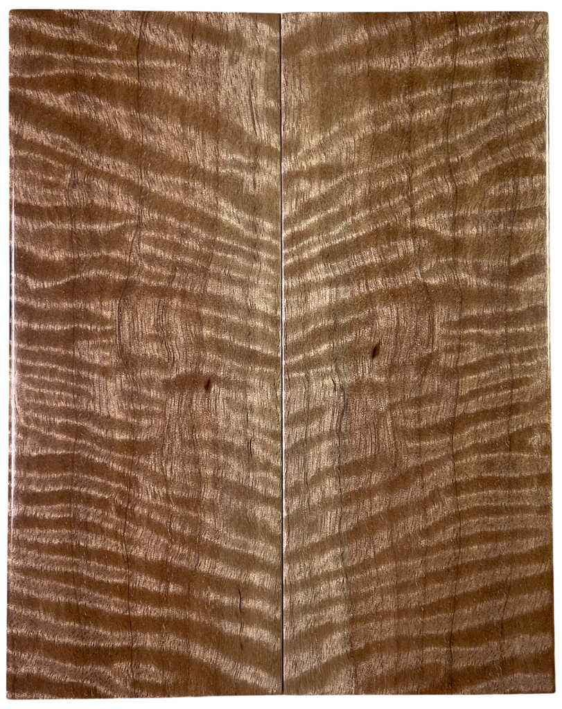 Curly Asian Satinwood (2" x 4.875" x 5/16")