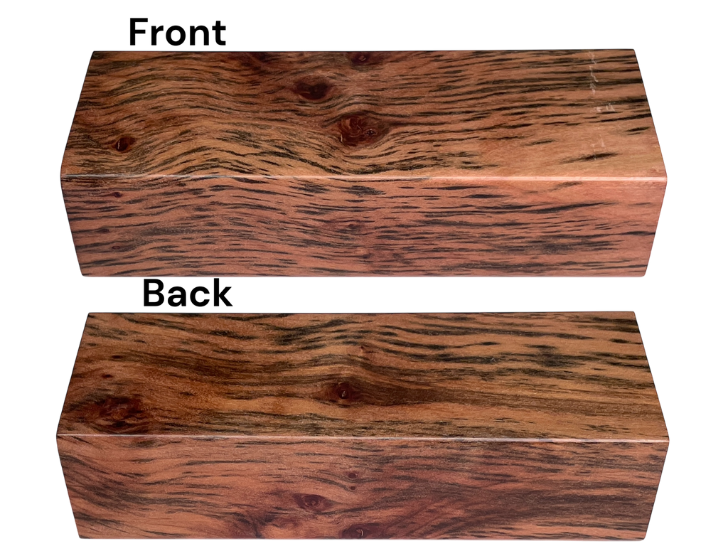Tiger Myrtle (1.25" x 1.875" x 5")