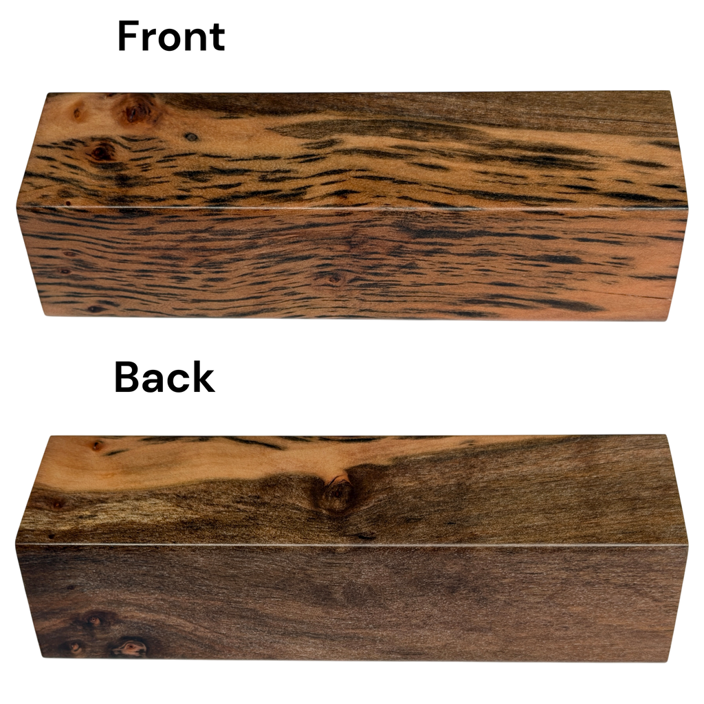 Tiger Myrtle (1.25" x 1.5" x 5")