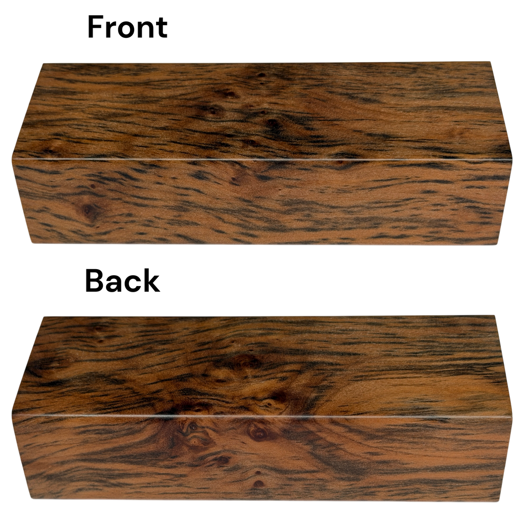 Tiger Myrtle (1.25" x 1.75" x 5")