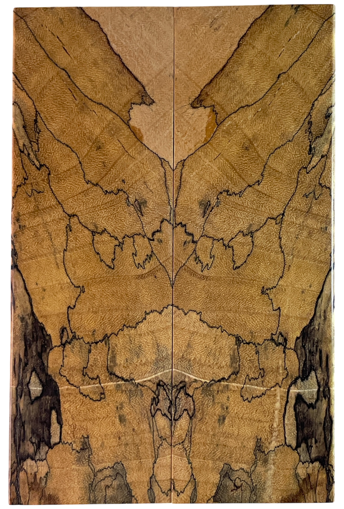 Spalted Tamarind (1.75" x 5.5" x 3/8")