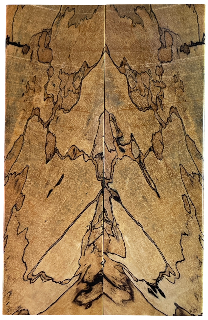 Spalted Tamarind (1.75" x 5.625" x 3/8")
