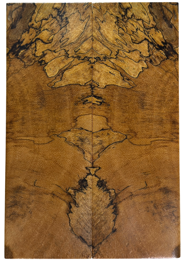 Spalted Tamarind (1.875" x 5.5" x 5/16")