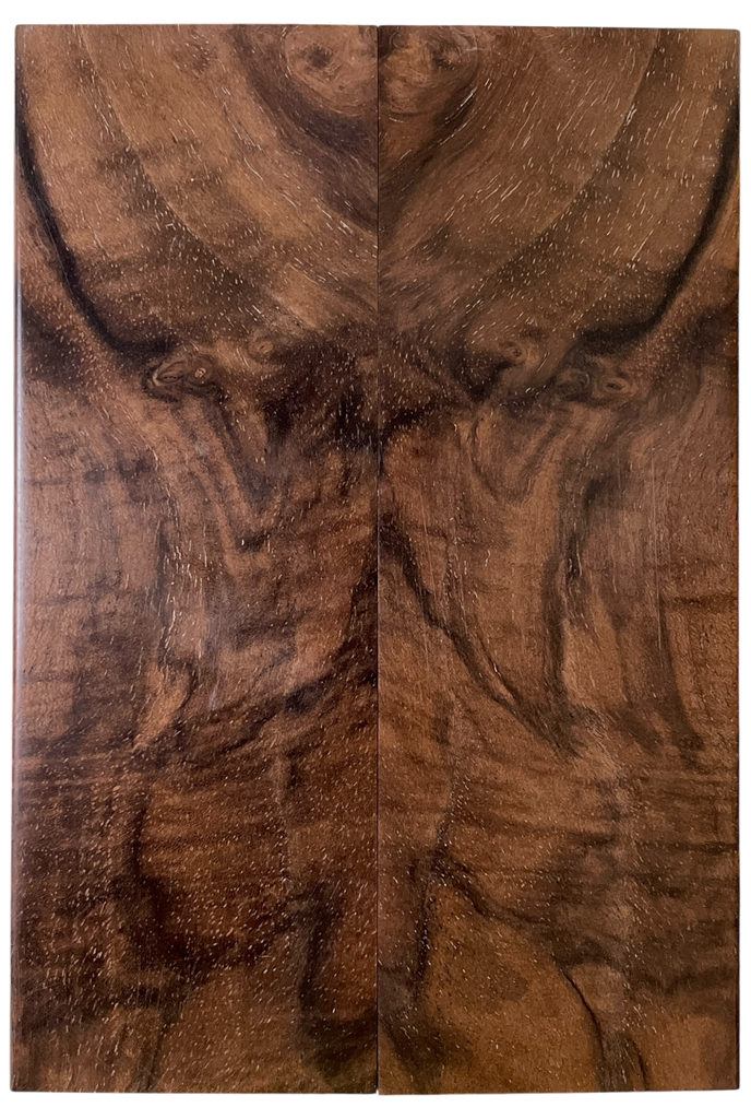 Turkish Walnut (2" x 5.75" x 5/16")