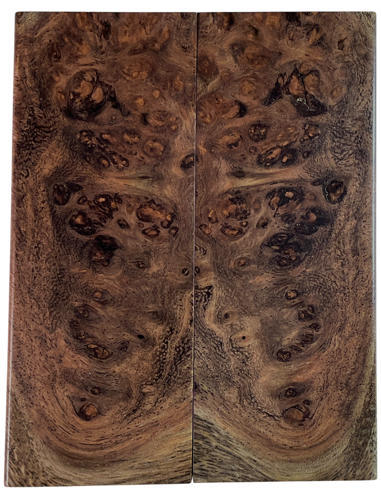 Weru Burl (1.875" x 4.875" x 5/16")