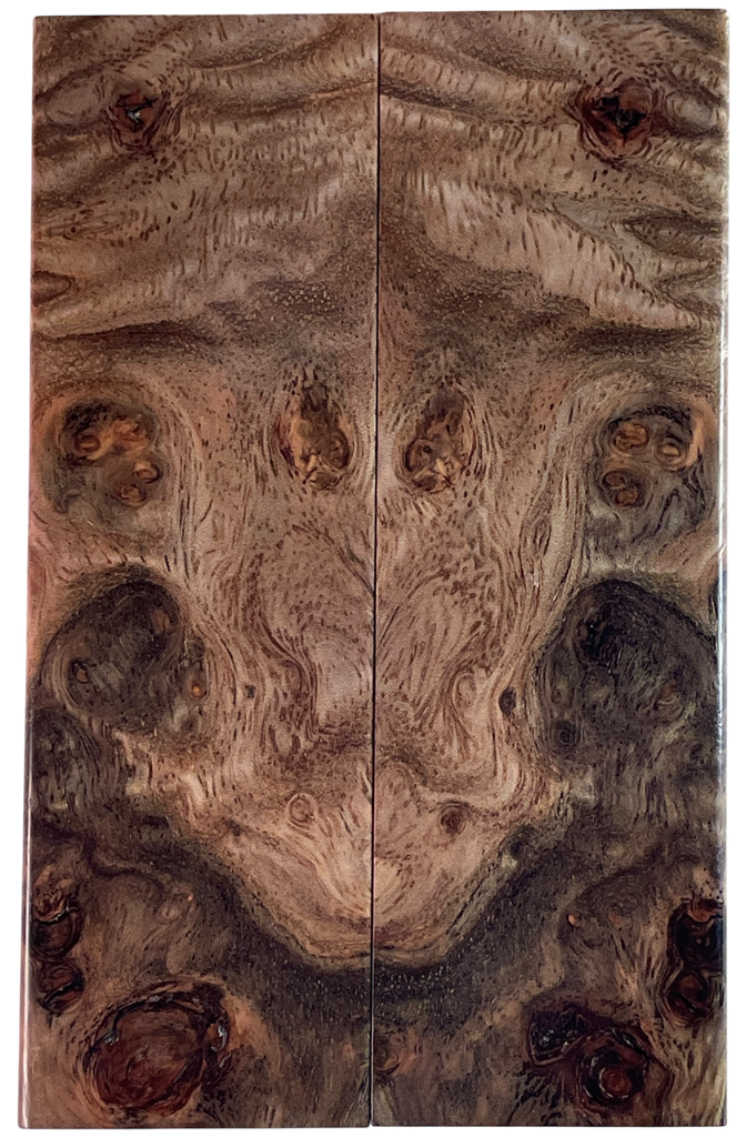 Weru Burl (1.75" x 4.625" x 5/16")
